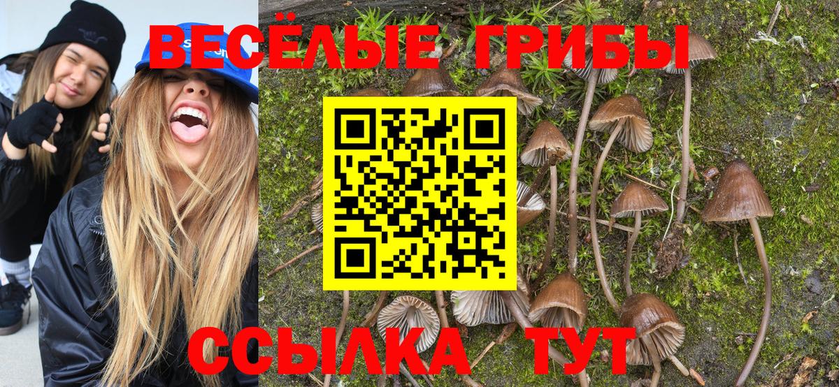 Галлюциногенные грибы MAGIC MUSHROOMS  Вход с VPN  Галлюциногенные грибы GOLDEN TEACHER  Губкинский 